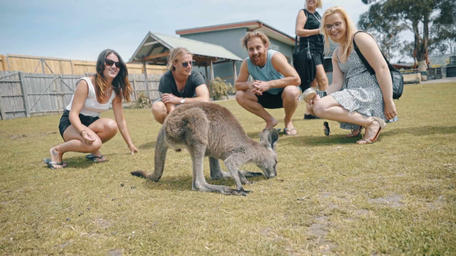 tour melbourne vietravel