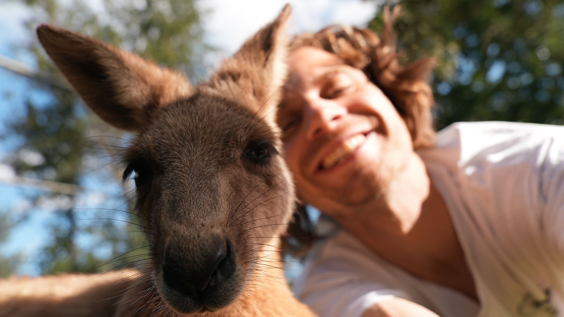 Male solo traveller Australia kangaroo selfie - welcome to travel