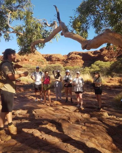 Uluru Group Chat 2