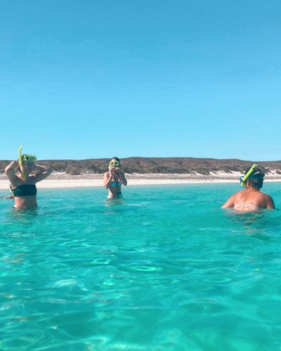 West Coast snorkelling Welcome to Travel